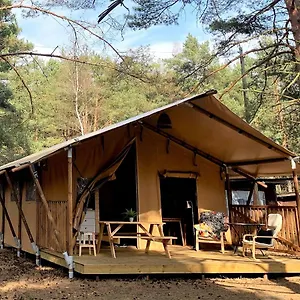 Campsite Camp Bursztynowy