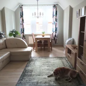 Shiba * Gdansk