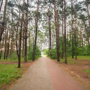 Wygodny *