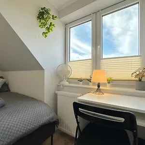 Homestay Tiny