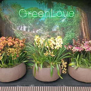 Green Rooms Hostel